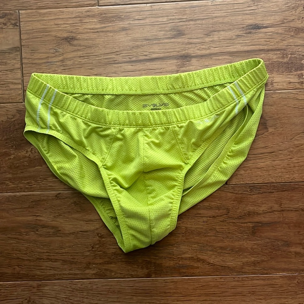 Evolve mesh briefs
